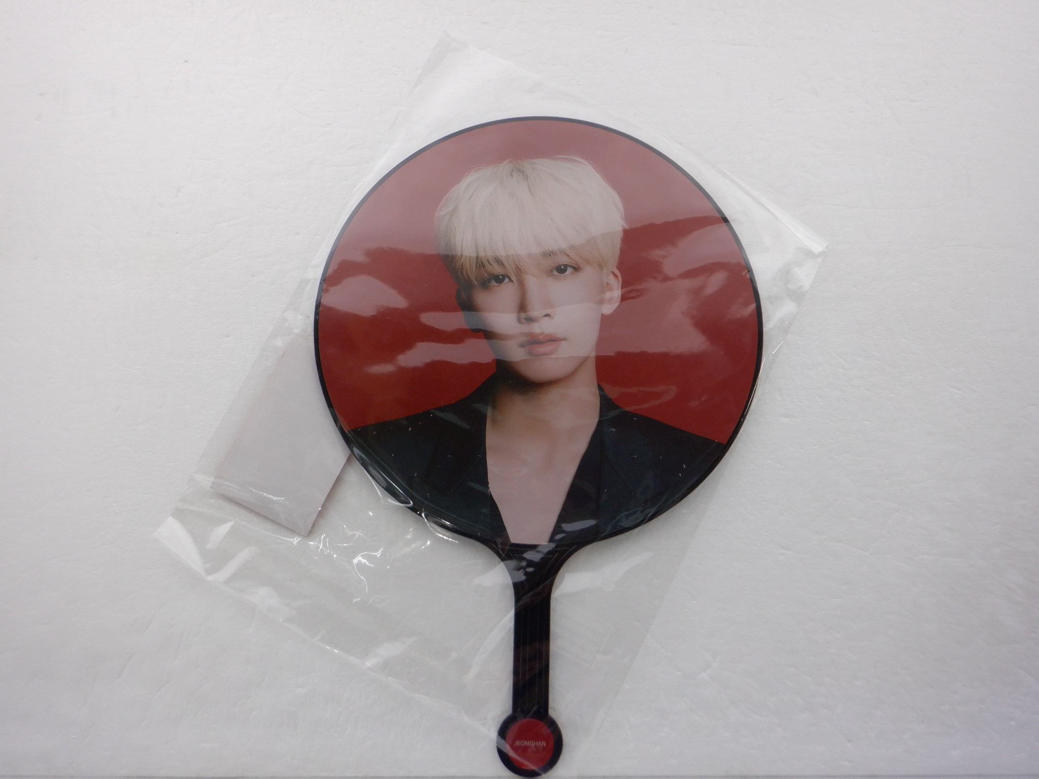 SEVENTEEN JEONGHAN うちわ 2021 CONCERT POWER OF LOVE IMAGE PICKET ジョンハン セブチ