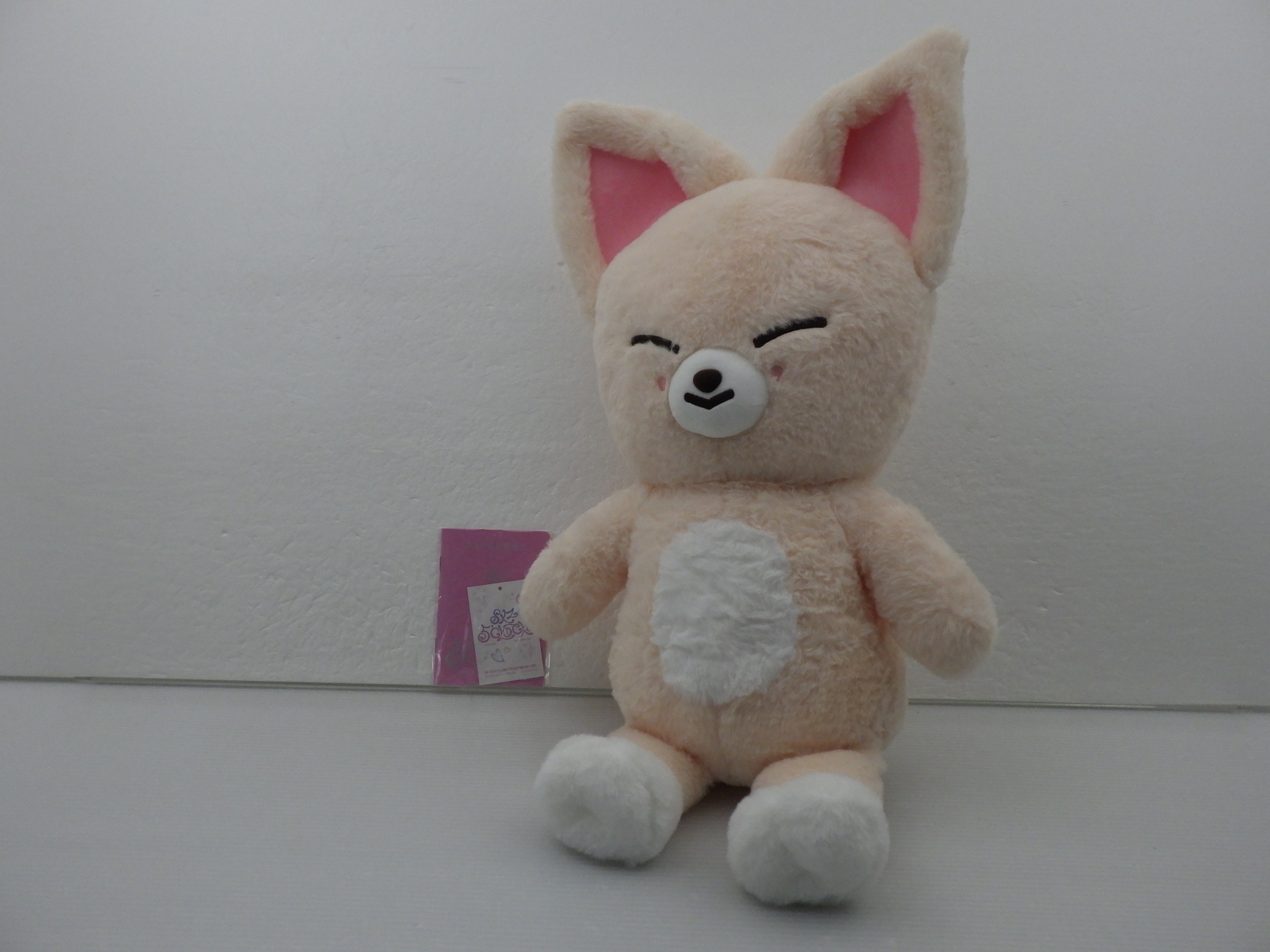 Stray Kids I.N SKZ 5'CLOCK SKZOO PLUSH TEDDYBEAR VER.  FoxI.Ny 