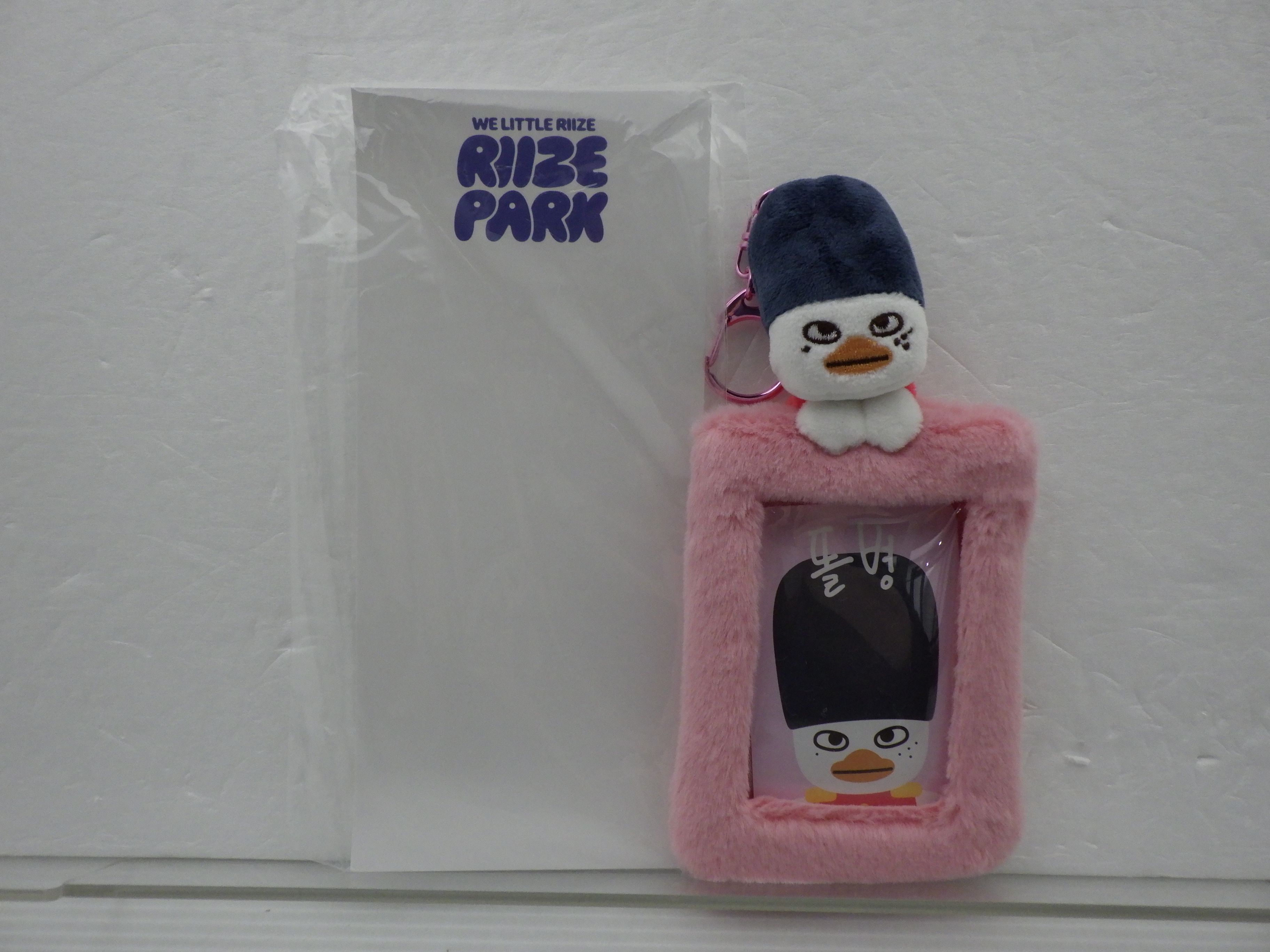 RIIZE SOHEE WE LITTLE RIIZE PARK PHOTO CARD HOLDER フォトカードホルダー ソヒ トルビョン