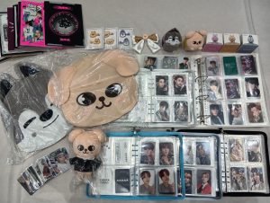 ファイルに保管されたスキズトレカなどグッズを5,903円で買取