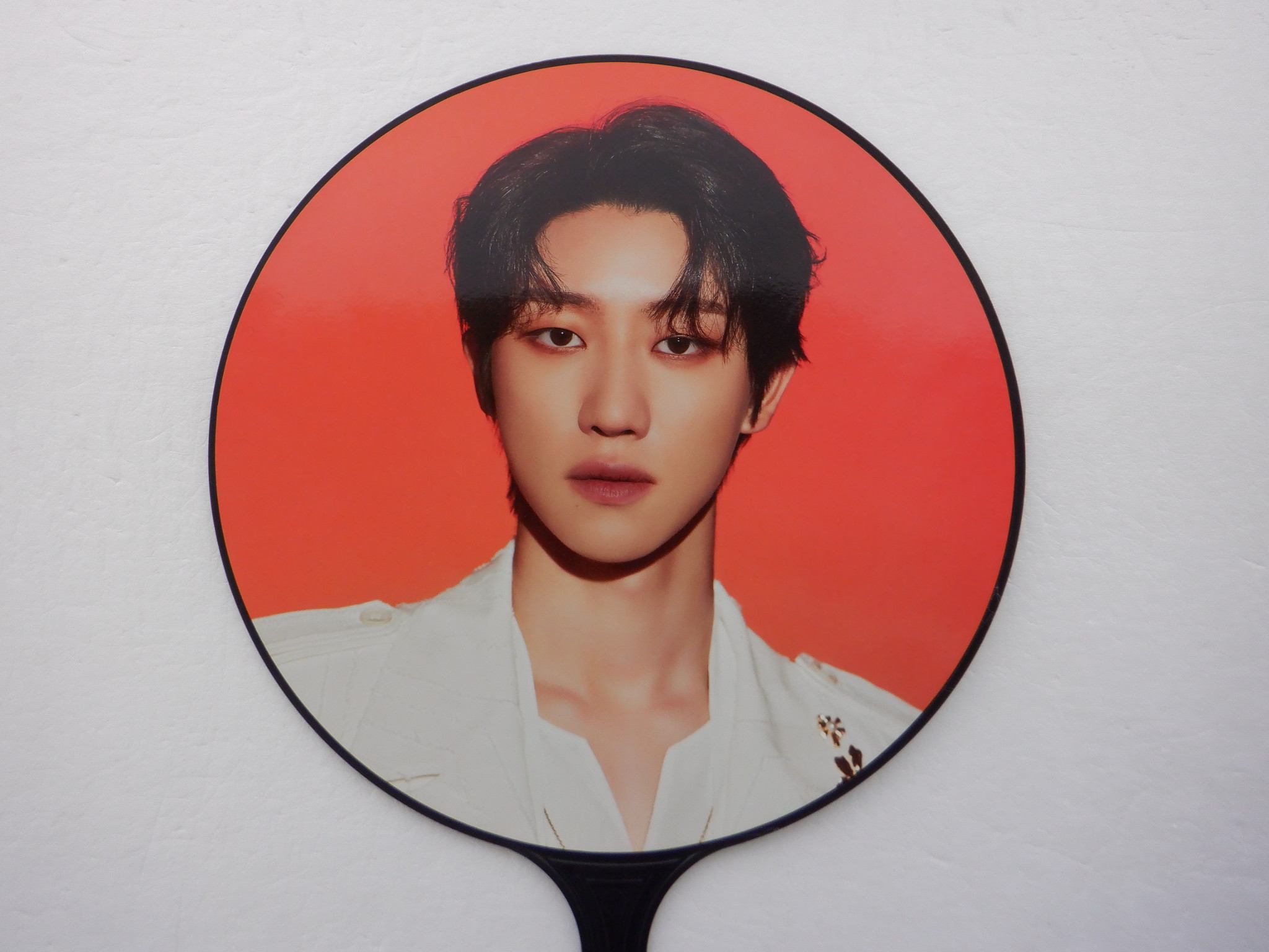 SEVENTEEN THE 8 うちわ WORLD TOUR BE THE SUN IMAGE PICKET ディエイト ミンハオ セブチ