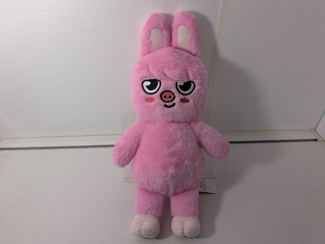 Stray Kids CHANGBIN SKZ 5'CLOCK SKZOO PLUSH TEDDYBEAR Ver. DWAEKKI チャンビン トエッキ