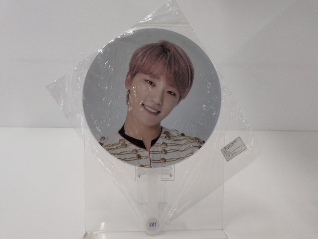 SEVENTEEN DINO うちわ 2018 CONCERT IDEAL CUT THE FINAL SCENE IMAGE PICKET ディノ セブチ ソウルコン